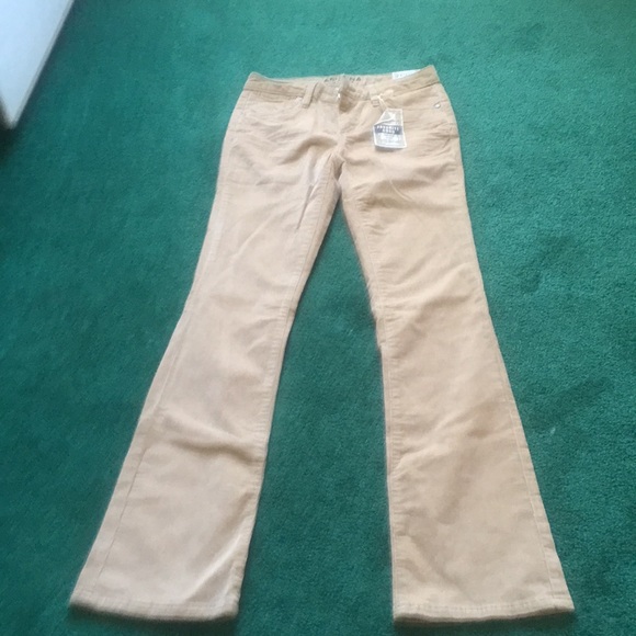 arizona bootcut khakis